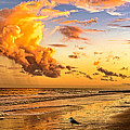 Fire in the Sky by Mike Covington