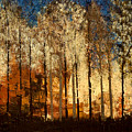Firestorm Painting by Linda Bailey Firestorm Painting by Linda Bailey