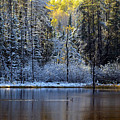 First Snow Photograph by Doug Gibbons First Snow Photograph by Doug Gibbons