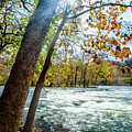 Fisherman's Paradise Photograph by Joe Shrader Fisherman's Paradise Photograph by Joe Shrader