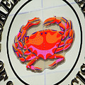 Fisherman's Wharf Photograph by Doug Sturgess Fisherman's Wharf Photograph by Doug Sturgess