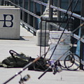 Fishing Rods on Pier Huntington Beach Photograph by Colleen Cornelius Fishing Rods on Pier Huntington Beach Photograph by Colleen Cornelius