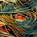 Fishing Rope Photograph by Colette V Hera Guggenheim Fishing Rope Photograph by Colette V Hera Guggenheim