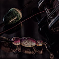 Fishing Tackle 1 by Joseph Skalny
