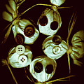 Five Halloween Dolls With Button Eyes by Jorgo Photography - Wall Art Gallery Five Halloween Dolls With Button Eyes by Jorgo Photography - Wall Art Gallery