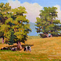 Five Oaks by Keith Burgess Five Oaks by Keith Burgess