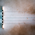 Five String Banjo by Scott Norris Five String Banjo by Scott Norris