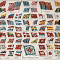 Flags of Various Nations - Antique maps - Historical Maps Drawing by Studio Grafiikka Flags of Various Nations - Antique maps - Historical Maps Drawing by Studio Grafiikka
