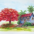 Flamboyant And House by Karin Dawn Kelshall- Best Flamboyant And House by Karin Dawn Kelshall- Best