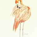 Flamingo Painting by Laurel Best Flamingo Painting by Laurel Best