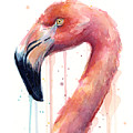 Flamingo Watercolor Illustration by Olga Shvartsur Flamingo Watercolor Illustration by Olga Shvartsur