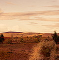 Flat Land Scenic Morocco View from Train Window Photograph by Chuck Kuhn Flat Land Scenic Morocco View from Train Window Photograph by Chuck Kuhn