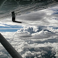 Flight of Dreams Photograph by Patricia Montgomery Flight of Dreams Photograph by Patricia Montgomery