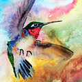 DA155 Flit Color by Daniel Adams by Daniel Adams