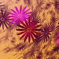 Floating Floral - 005 by David Lane Floating Floral - 005 by David Lane