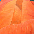 Flora Series-Number 2 Painting by Jim Harper Flora Series-Number 2 Painting by Jim Harper
