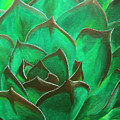 Flora Series-Number 3 Painting by Jim Harper Flora Series-Number 3 Painting by Jim Harper