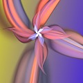 Floral Fantasy 021711 by David Lane Floral Fantasy 021711 by David Lane