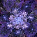 Floral Fantasy 1 by David Lane Floral Fantasy 1 by David Lane