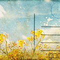 Floral In Blue Sky Postcard by Setsiri Silapasuwanchai Floral In Blue Sky Postcard by Setsiri Silapasuwanchai
