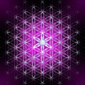 Flower of life basic Digital Art by Alexa Szlavics Flower of life basic Digital Art by Alexa Szlavics