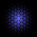 Flower of life in blue Digital Art by Alexa Szlavics Flower of life in blue Digital Art by Alexa Szlavics