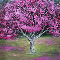 Flowering Tree by Mishel Vanderten