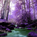 Flowing Dreams Photograph by Mike Eingle Flowing Dreams Photograph by Mike Eingle