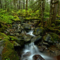 Flowing Through The Pacific Northwest Photograph by Adam Jewell Flowing Through The Pacific Northwest Photograph by Adam Jewell