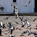 Fly Birdies Fly Photograph by Nicole Lloyd Fly Birdies Fly Photograph by Nicole Lloyd