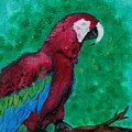 Flying Colors by Cori Solomon Flying Colors by Cori Solomon