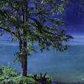 Fog Over The Pond by Susanne Van Hulst Fog Over The Pond by Susanne Van Hulst