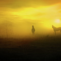 Foggy sunset Photograph by Lilia D Foggy sunset Photograph by Lilia D
