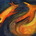 Follow me by Suzy Norris