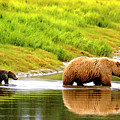 Following Mama Photograph by Ted Keller Following Mama Photograph by Ted Keller