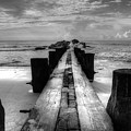 Folly Beach Pilings Charleston South Carolina In Black and White Photograph by Carol Montoya Folly Beach Pilings Charleston South Carolina In Black and White Photograph by Carol Montoya