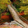 Footbridge into Autumn Photograph by Stacie Siemsen Footbridge into Autumn Photograph by Stacie Siemsen
