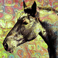 Horse by Stacey Chiew Horse by Stacey Chiew