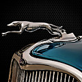 Ford Blue Dog by Douglas Pittman Ford Blue Dog by Douglas Pittman