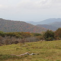 Forest Highlands Photograph by Allen Nice-Webb Forest Highlands Photograph by Allen Nice-Webb