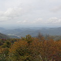 Forest Landscape View Photograph by Allen Nice-Webb Forest Landscape View Photograph by Allen Nice-Webb