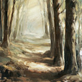 Forest Path by Steve Henderson Forest Path by Steve Henderson