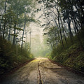 Forsaken Road Photograph by Scott Norris Forsaken Road Photograph by Scott Norris