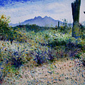 Four Peaks Phoenix Arizona USA 2003 by Enver Larney Four Peaks Phoenix Arizona USA 2003 by Enver Larney