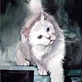 Foxy Lady by Suzann Sines Foxy Lady by Suzann Sines
