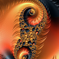 Fractal spirals with warm colors orange coral by Matthias Hauser