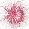 Fragile by Amanda Moore Fragile by Amanda Moore