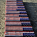 Freedom Costs by Clayton Bruster Freedom Costs by Clayton Bruster