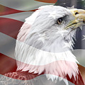 Freedom Photograph by Jackson Pearson Freedom Photograph by Jackson Pearson