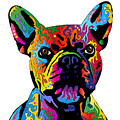French Bulldog Digital Art by Michael Tompsett French Bulldog Digital Art by Michael Tompsett